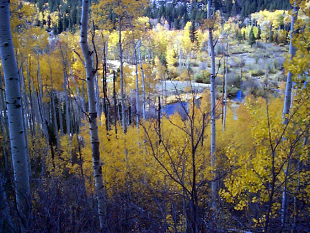 Aspen_22