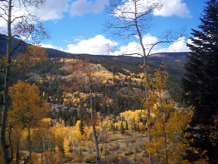 Aspen_46