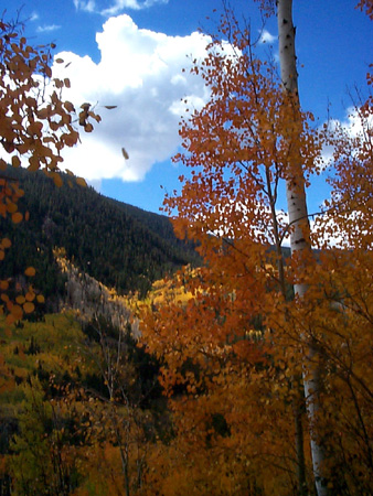 Aspen_47