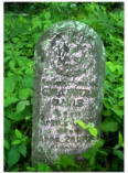 Davis_Tombstone_Terry_Cem