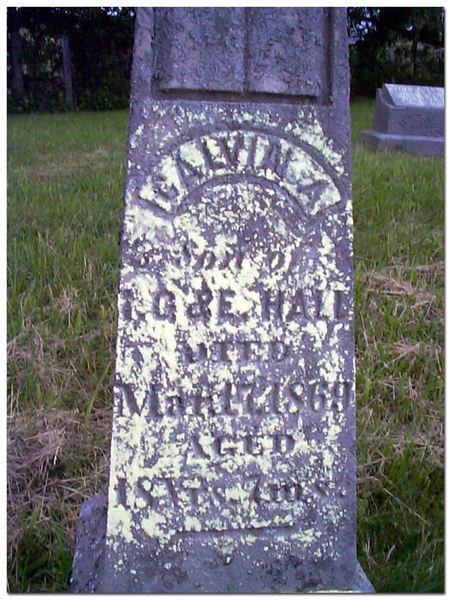 Calvin_Hall_Hall_cemetery