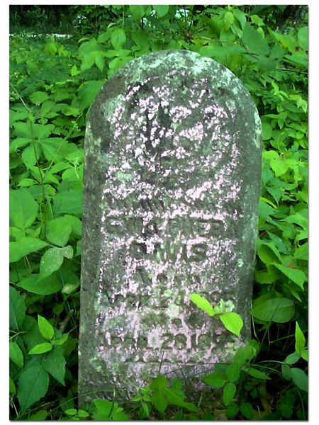 Davis_Tombstone_Terry_Cem