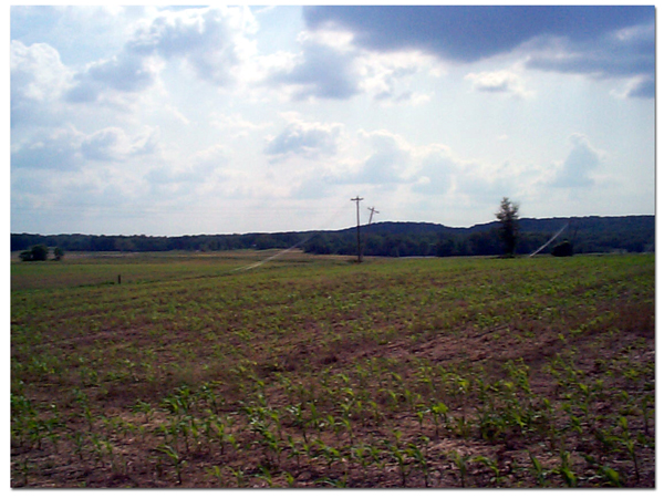 Gilstrap_Cemetery_scenry