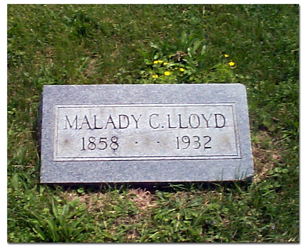 Malady_Lloyd