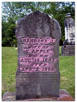 Barbara_Apple_Apple_Chapel