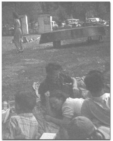 picnic_unknown